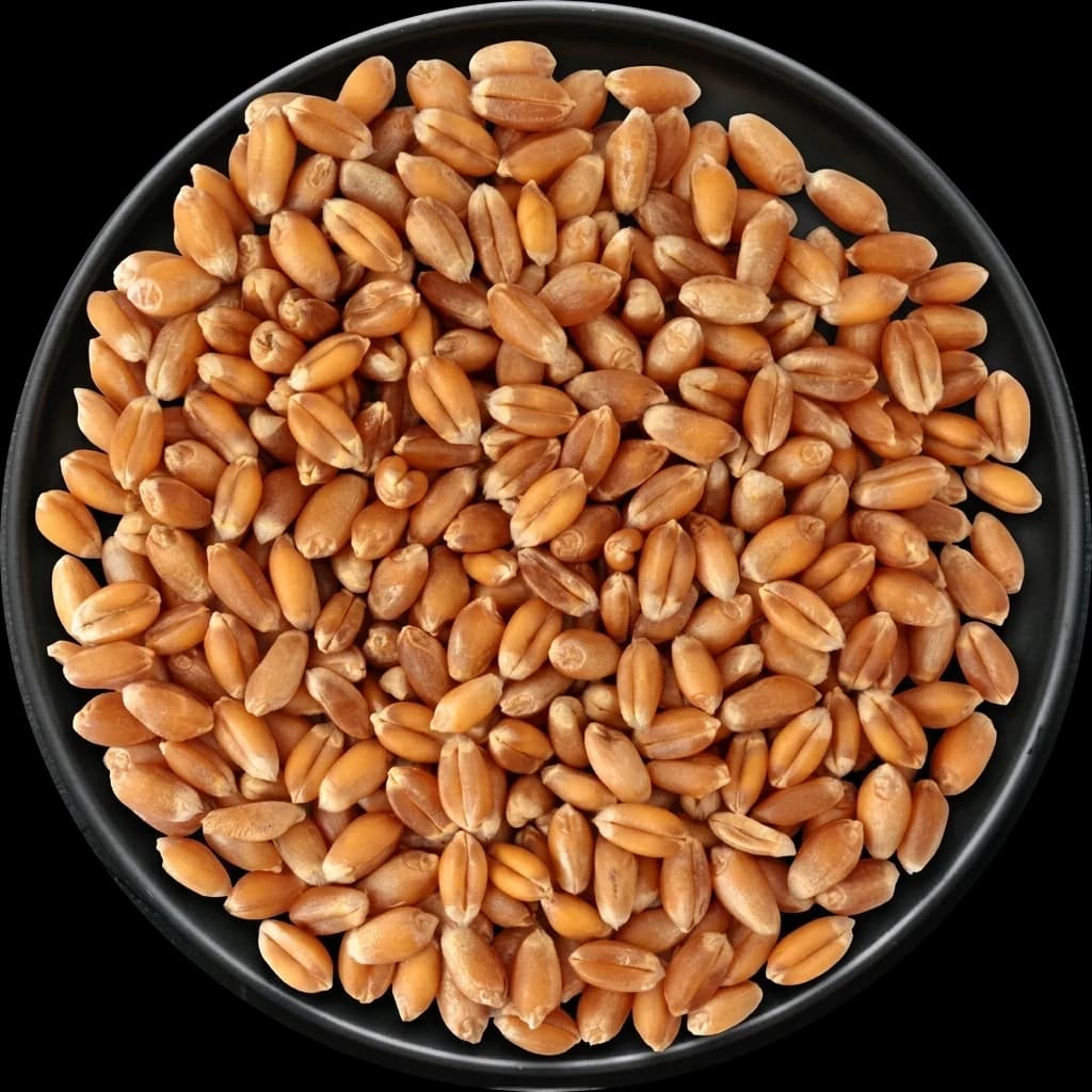 Wheat on a plate